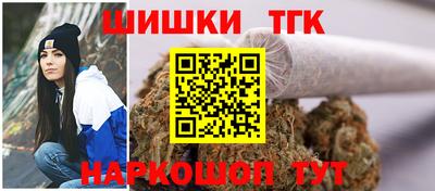 прущие крисы Кингисепп