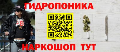 прущие крисы Кингисепп
