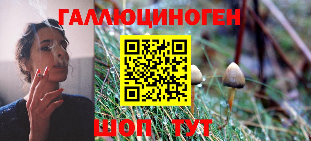 Галлюциногенные грибы мицелий  Курчалой 