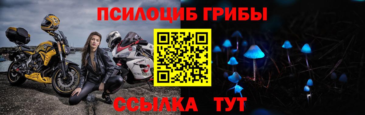 Псилоцибиновые грибы мухоморы  Вход с VPN  Курчалой  Псилоцибиновые грибы мухоморы 