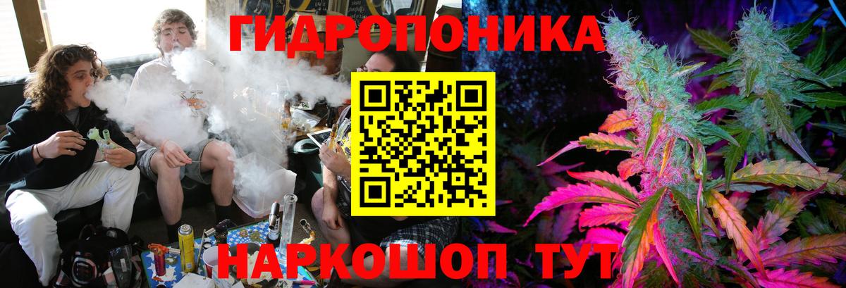 Канабис ГИДРОПОН Курчалой