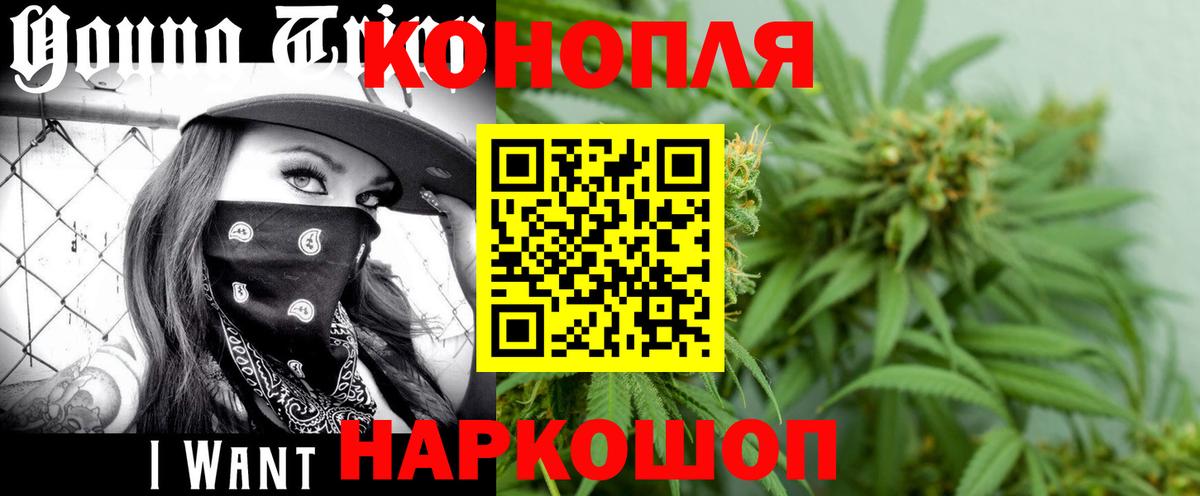 Шишки марихуана планчик  Курчалой  Бошки Шишки Ganja  Бошки марихуана семена 